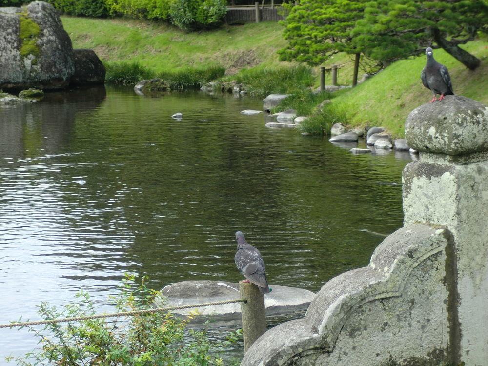 Suizenji Comfort Hotel Kumamoto Zewnętrze zdjęcie